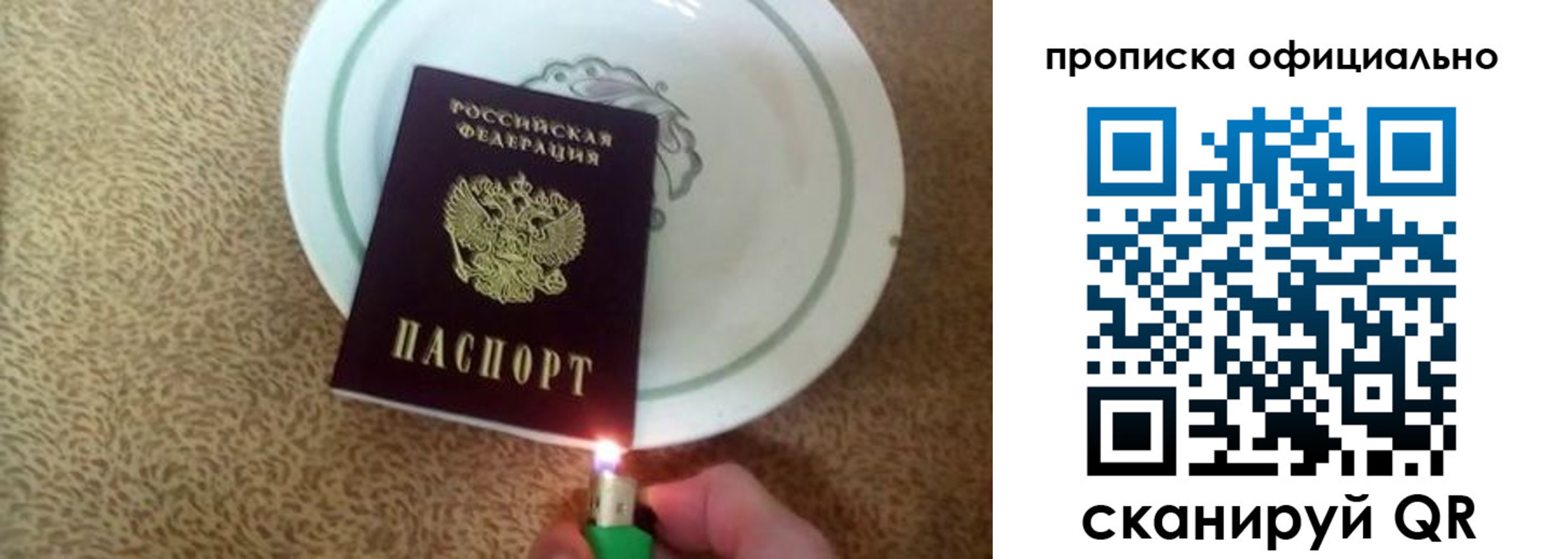 прописка гарантия в Фрязино